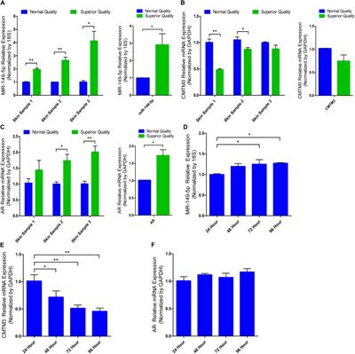 Frontiers | miR-149-5p Regulates Goat Hair Follicle Stem Cell 